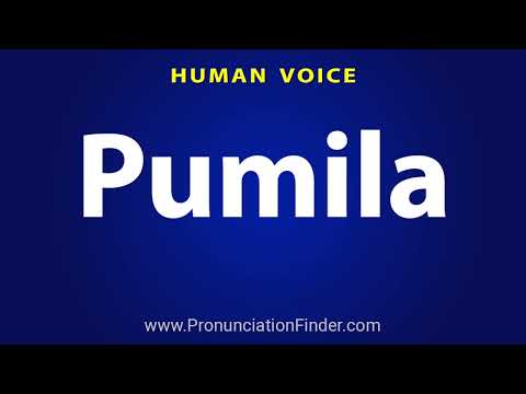 How To Pronounce Pumila