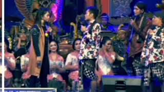 Download lagu Story Wa Cak Percil || Kamu Tau Lumba-Lumba mp3