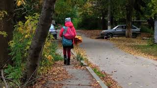 Autumn on the Shakespeare Street /Осень на улице Шекспира