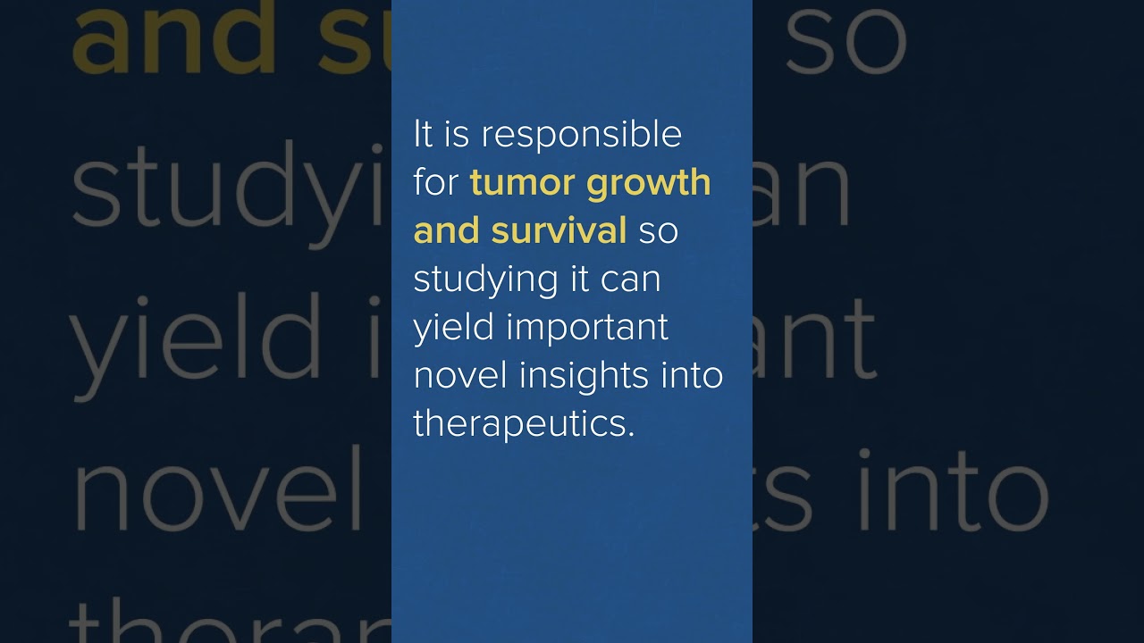 Tumor Micro Environment - A Basic Explanation