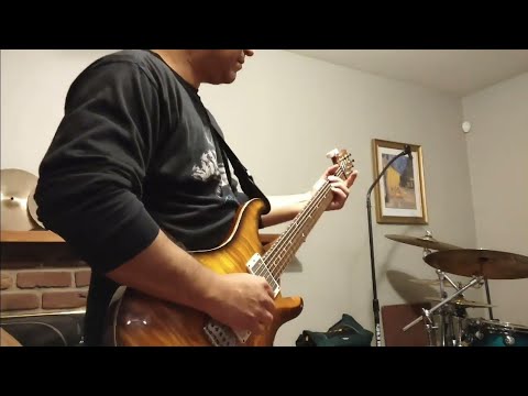 PRS DGT/ Friedman Runt 20 Jam