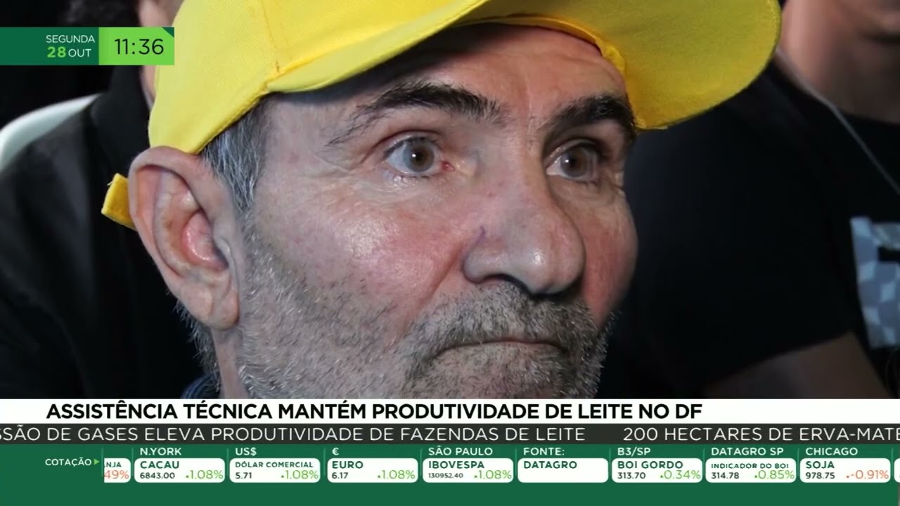 Assistência técnica mantém produtividade de leite no DF