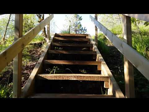 Tabergstoppen walk and livestream schedule June 2021