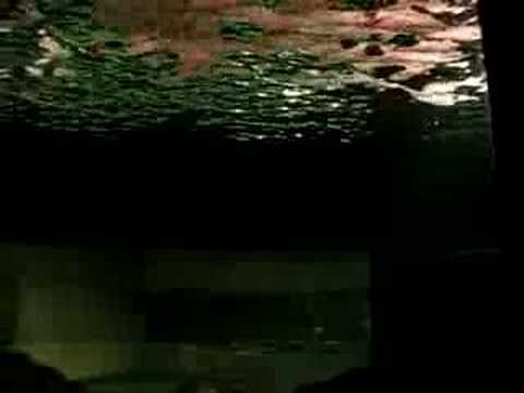 Baltimore Trip  Anubha Sinha