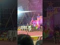 Gemini Circus Rajgir Malmas Mela 2023 Viral Video