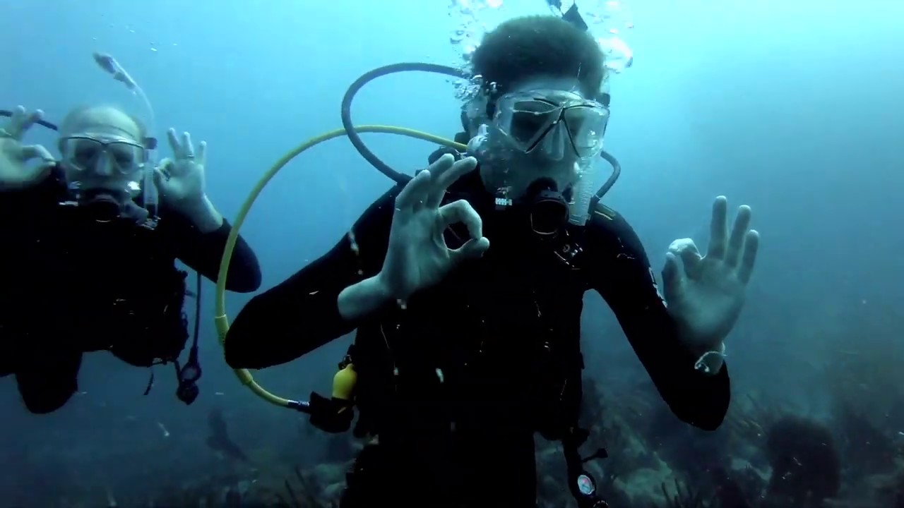 Yacht Video