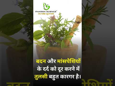 बदन दर्द का आयुर्वेदिक इलाज तुलसी  #aurveda #fact #ayurvediccompany
