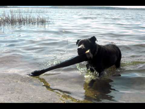 Urlaub in der Lausitz mit Willi und Xenia