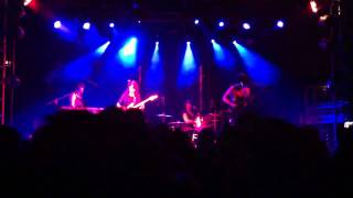 Wild Flag - Racehorse