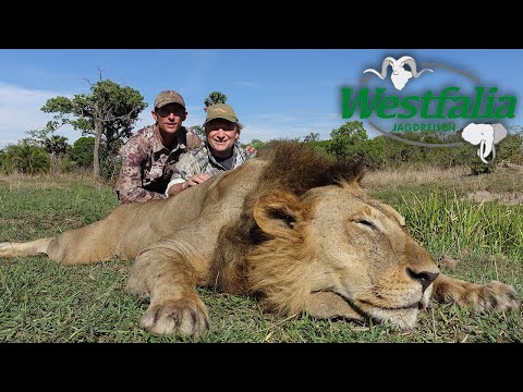 Jagd auf Löwe & Büffel: Tansanias wilde Jäger