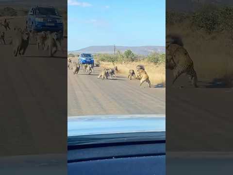 No Ando Solo 🔥 | Bryant Myers #trap #rap