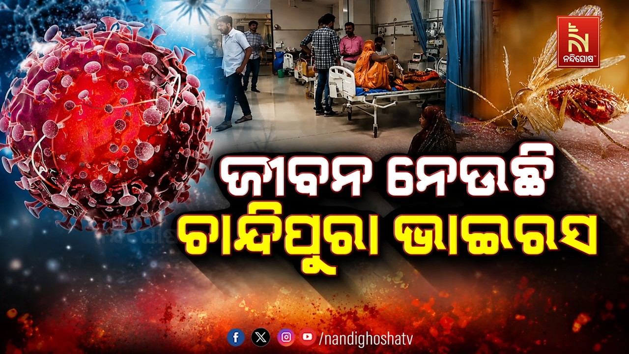 🔴 Live | ଜୀବନ ନେଉଛି ଚାନ୍ଦିପୁରା ଭାଇରସ | NandighoshaTV