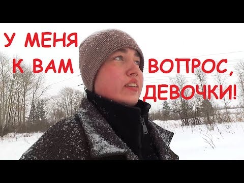 VLOG: ГДЕ ЖИВУТ ШИНШИЛЛЫ!? 26.02.20