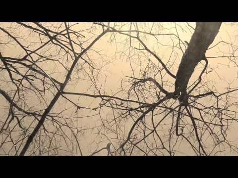 HOLD ON - Sarah McLachlan ( lyrics )