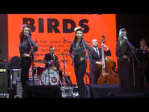 Singin' Birds - Sing Sing Sing Medley - Live in China