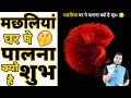 मछलियां घर पे पालना क्यों है शुभ अब आप�