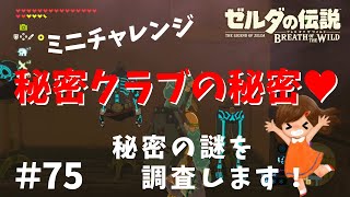秘密クラブの秘密を攻略！合言葉GET方法【ゼルダの伝説ブレスオブザワイルド女性実況】～今日もゼルダを救えない#75
