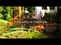 5 Benefits of Gratitude