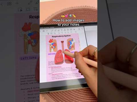 How to add images to your notes 💕 Samsung galaxy tab S9+ | Penly android app | digital note taking