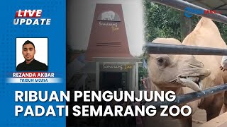 Semarang Zoo Padat Pengunjung di Awal Tahun 2025, Wisata Edukasi Favorit: Bisa Interaksi Langsung