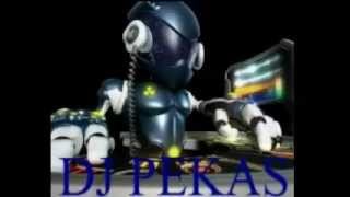 electro dance mix DJ PEKAS