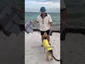 Rescue puppy tries swimming for first time