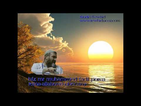 hfz.mr muhammed porca.allahovo obecanje.avi