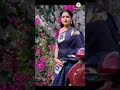 Saree Navel