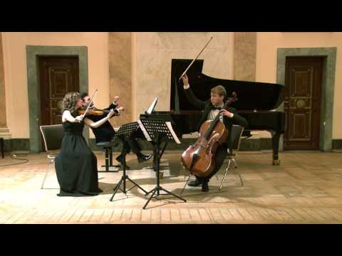 Johannes Brahms: Piano Trio H-Dur op.8  - The Flaneurs Piano Trio