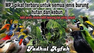 Download lagu suara pikat semua jenis burung kombinasi Tepus Kejepit mp3
