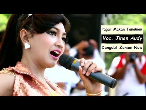 Download Lagu Daun Pandan Pagar Makan Tanaman Berbagi Tanam Download Lagu Daun Pandan Pagar Makan Tanaman Berbagi Tanam
