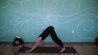May 23, 2022 - Amanda Tripp - Hatha Yoga (Level I)