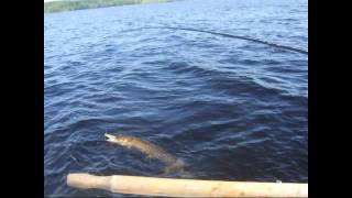 preview picture of video 'fishing pike at teakersjön in sweden'