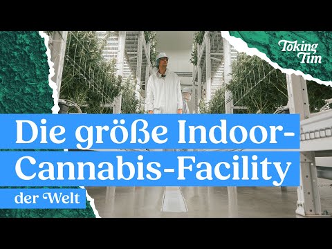 5 Hektar Indoor-Cannabis bei Organigram — Kanada Pt.2