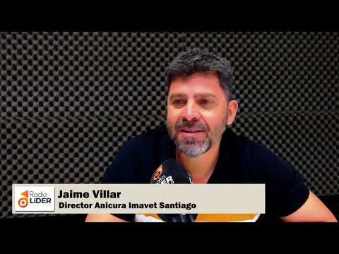 Anicura Imavet: el hospital veterinario de Santiago que se ha convertido en referencia nacional