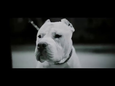 Migfemiral Ft Voice Aimers ✖ Berkay Duman - Level Up (Official Video Clip Teaser)