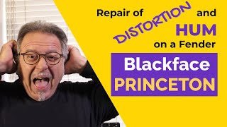Video thumbnail for Blackface Fender Princeton: Repair of buzzing and distortion. by The Guitar Amp Tech