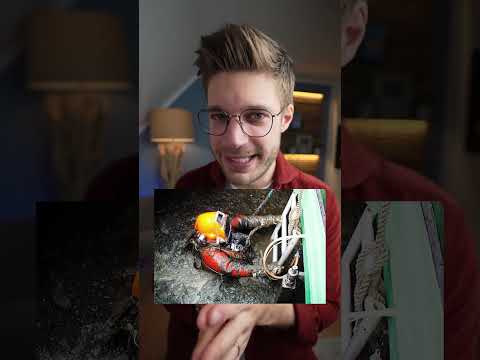 🚀TOP 3 der härtesten Jobs der Welt!🥵 Karriereguru #shorts #youtubeshorts