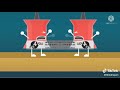 BFDI 1a Ending In F Major