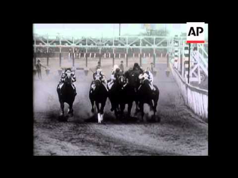 "Wood Memorial" Race