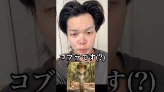 妹のダンスの発表会に突撃してみた