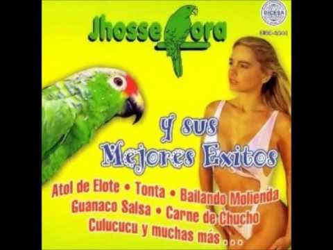 jhosse lora el tecolote.wmv