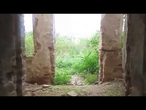 Biserica Satului Pitigaia (Comuna Frumusani, judetul Calarasi)