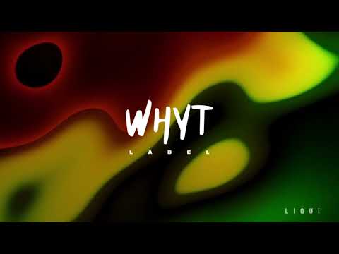 Kings Of The Rollers x Katy B - Paradise