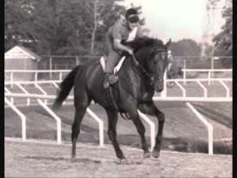 my top 10 american racehorses of the 20th century