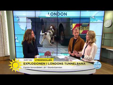 Terror i London - 5:e dådet i år - Nyhetsmorgon (TV4)