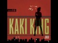 Kaki King - Falling Day 