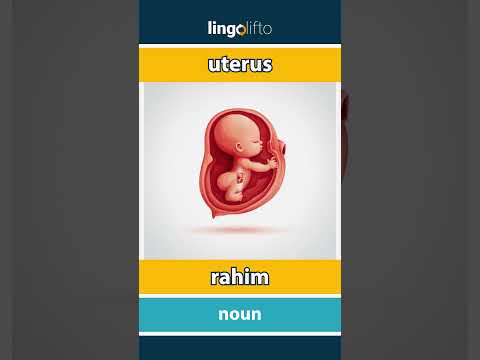 🇬🇧🇹🇷 uterus - rahim : learn English : İngilizce öğrenelim : vocabulary builder