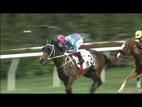 13/4/2022 (578) Street Scream - Matthew Chadwick