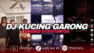 Download lagu DJ KUCING GARONG SOUND FYP TIKTOK YANG KALIAN CARI (BOOTLEG) | DIASS WG mp3